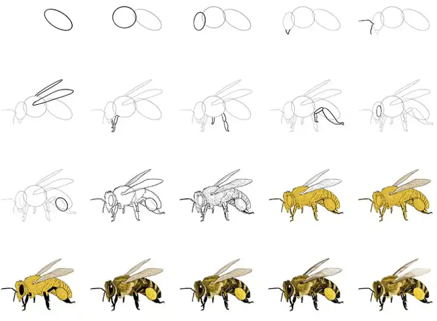 Cómo dibujar un collage de abejas