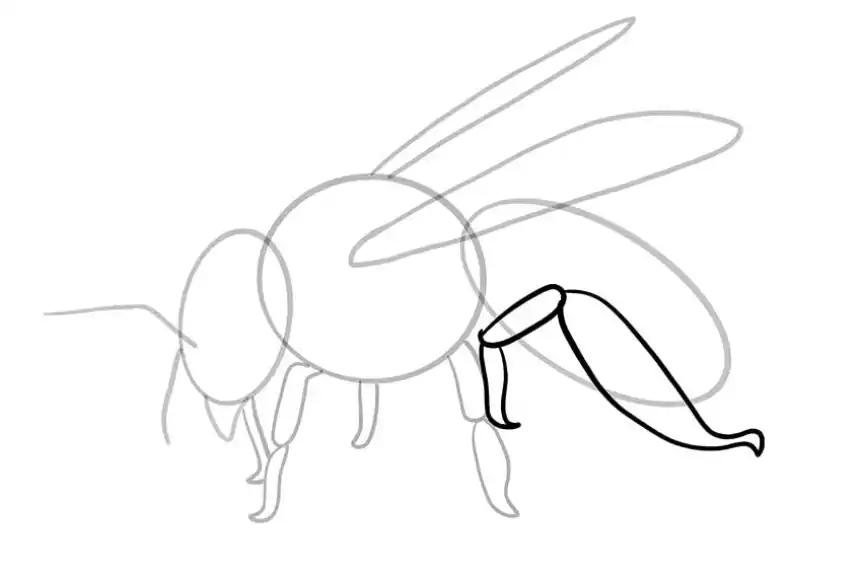 dibujo de abeja 9