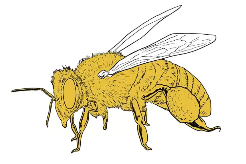 diseño de abeja 14
