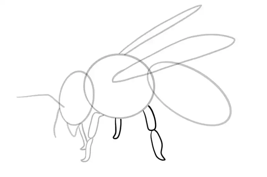 dibujo de abeja 8