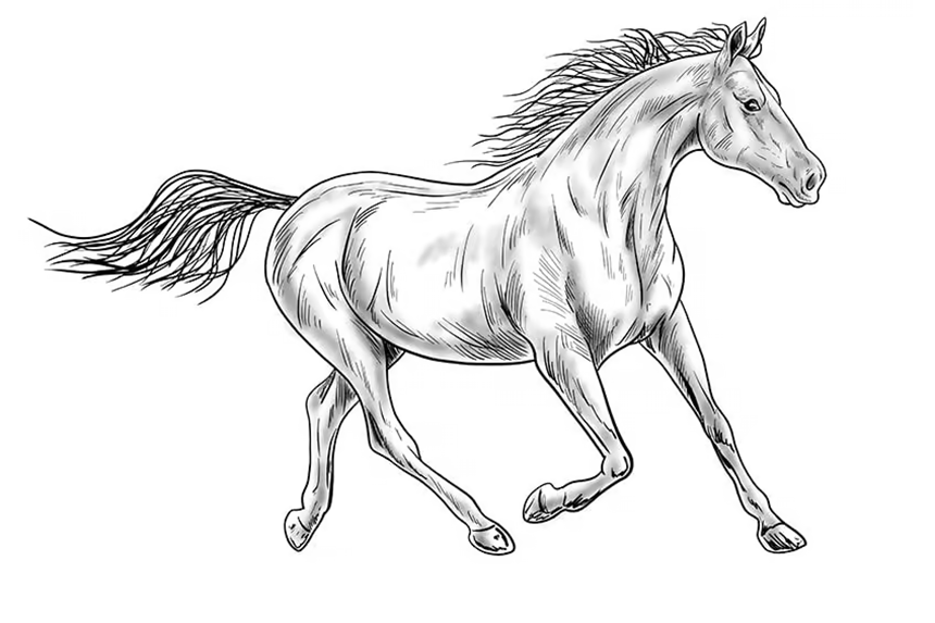 Dibujo de caballo para colorear