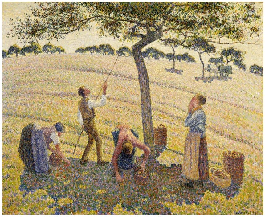 La cosecha de manzanas (1888) de Camille Pissarro