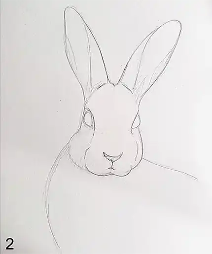 Cómo dibujar la cara de un paso de conejo 2