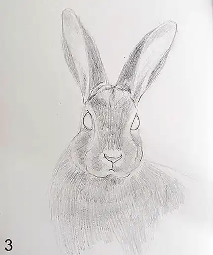 Cómo dibujar la cara de un paso de conejo 3