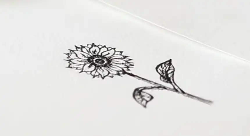 Cómo dibujar flores 25