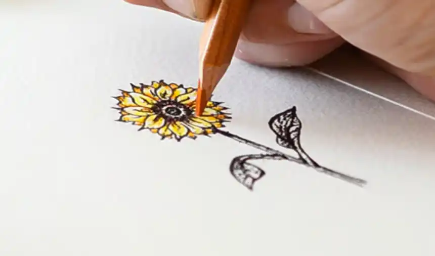 Cómo dibujar flores 26