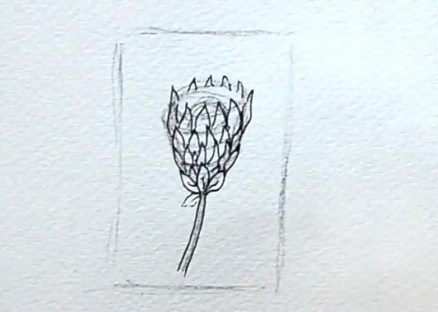 Cómo dibujar flores 30