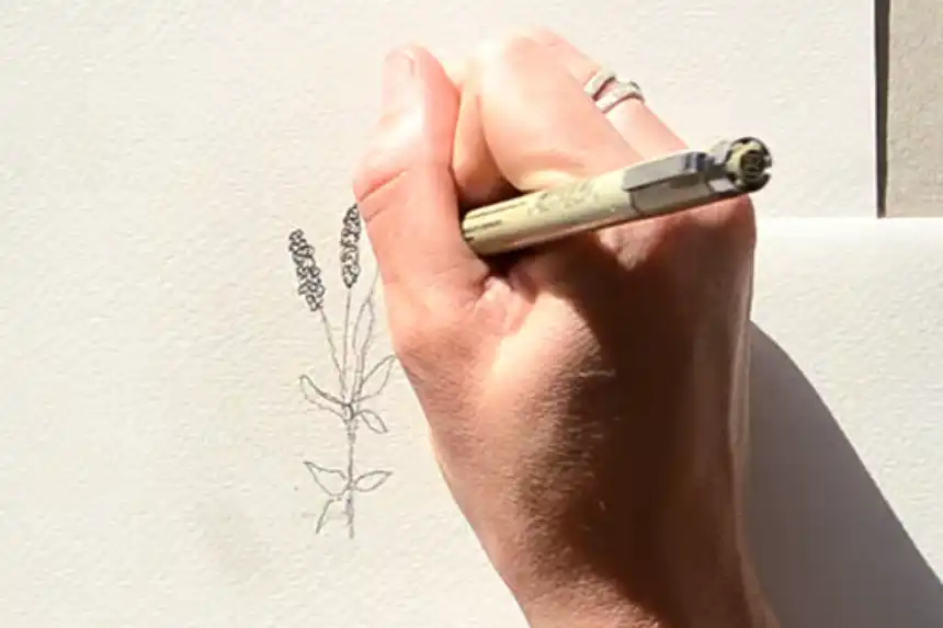 Cómo dibujar flores 34