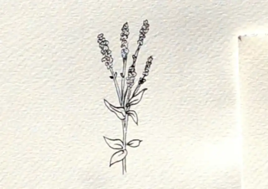 Cómo dibujar flores 35