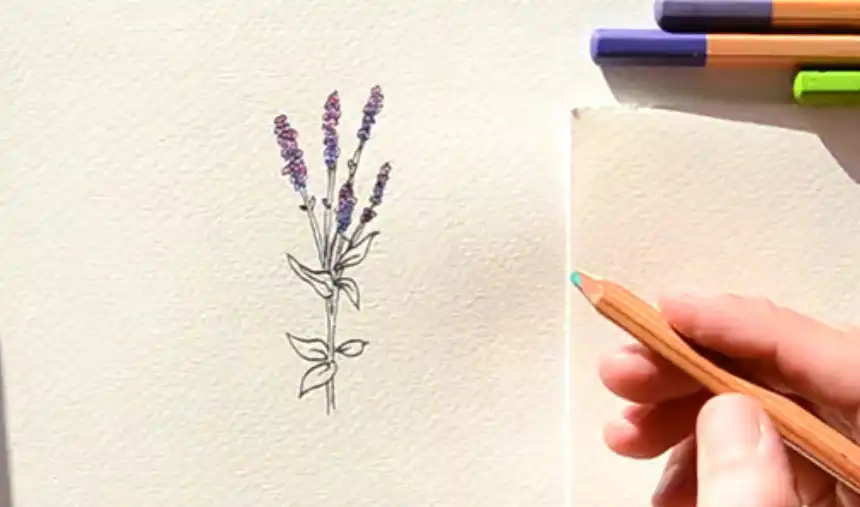 Cómo dibujar flores 36