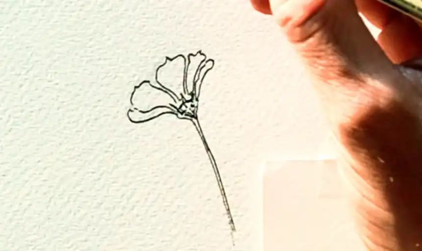 Cómo dibujar flores 50