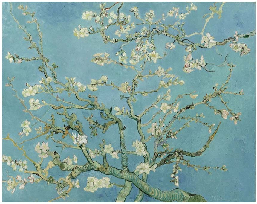 Almendro en flor (1890) de Vincent van Gogh.