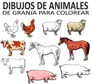 Dibujo de animales de granja para colorear